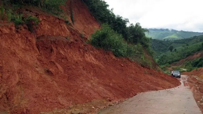 Thủ tướng: Xử lý nghiêm trường hợp xây dựng trái phép trên đất rừng phòng hộ