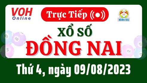 XSDN 9/8 - Kết quả xổ số Đồng Nai hôm nay thứ 4 ngày 9/8/2023