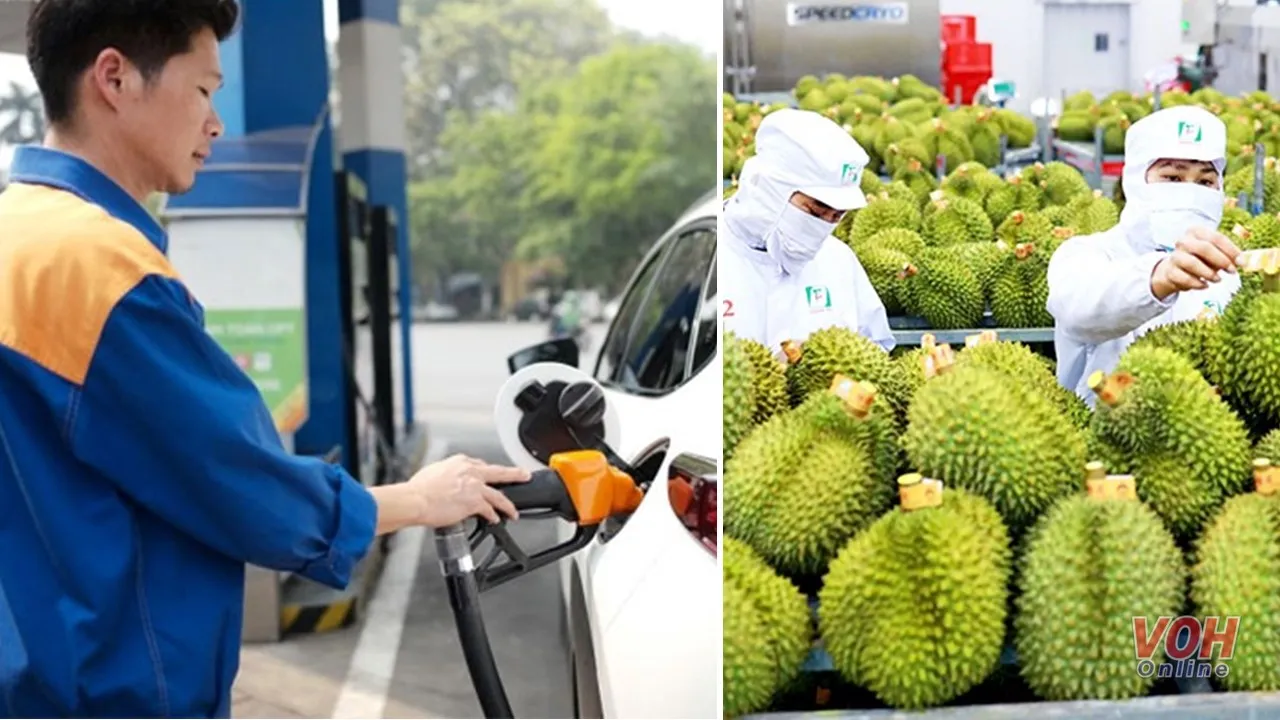 Điểm tin trưa 9/8: Giá xăng dầu trong nước khó giảm | Xuất khẩu rau quả tăng mạnh