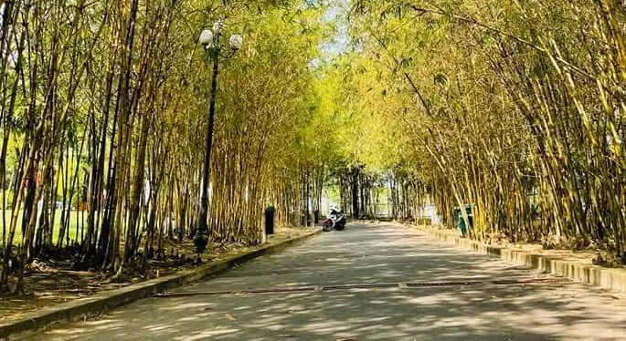 Ngã Ba Giồng, nơi lưu dấu giá trị văn hóa lịch sử đặc sắc