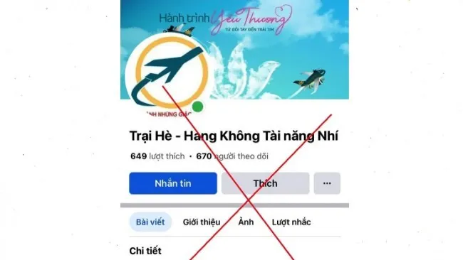 Mạo danh Vietnam Airlines quảng bá trại hè chiếm đoạt 2,6 tỷ đồng