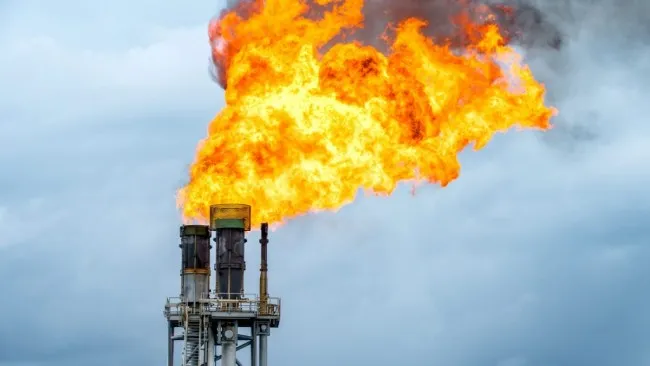 Giá gas hôm nay 15/8/2023: Lượng dự trữ cao kìm hãm giá