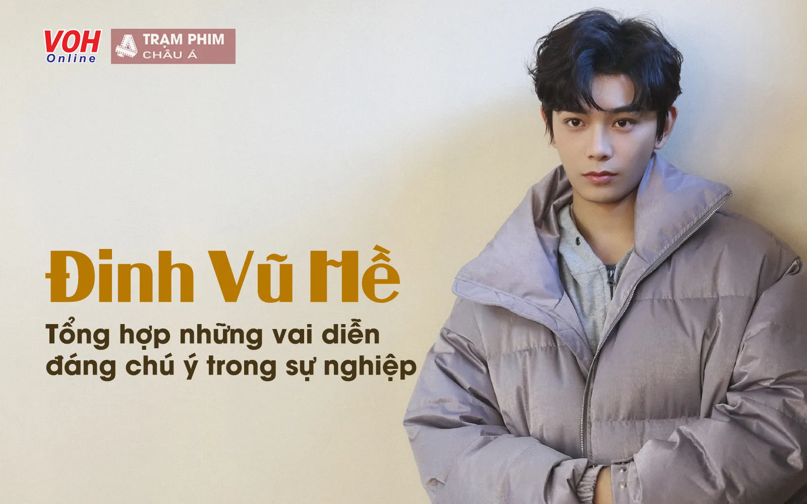 Tổng hợp 15 phim hay nhất của mỹ nam Đinh Vũ Hề