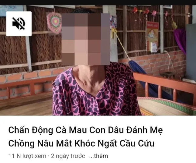 Con dâu bị phạt 7,5 triệu đồng vì đánh mẹ chồng