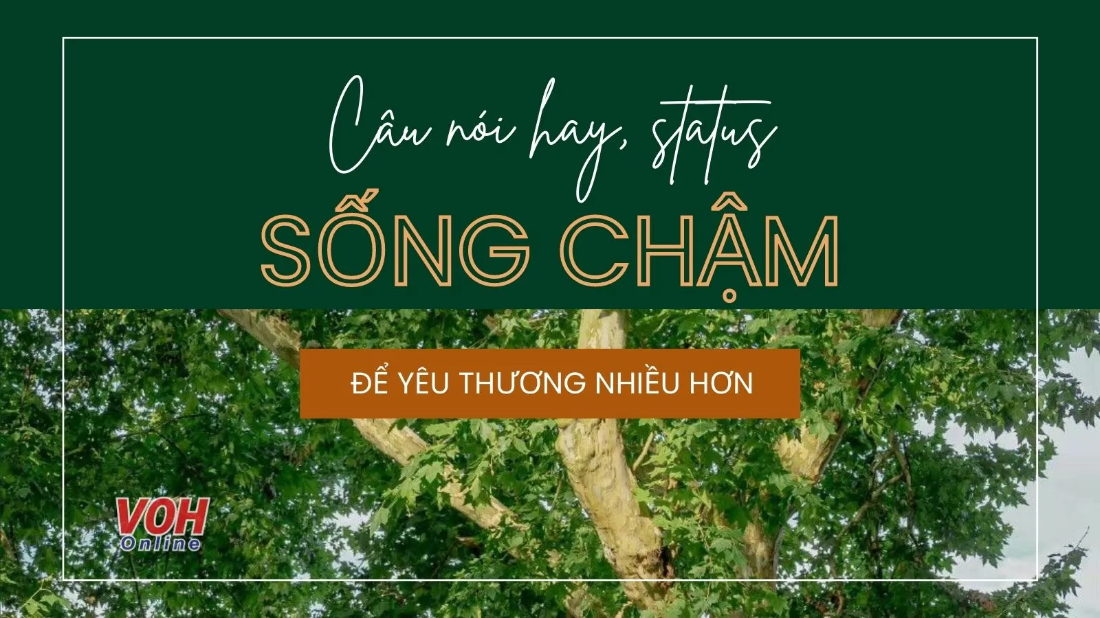 Những câu nói hay về sống chậm, STT sống chậm giữa đời vội vã