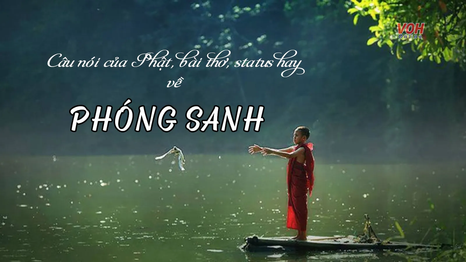 48 câu nói của Phật, bài thơ, stt về phóng sanh hay nhất