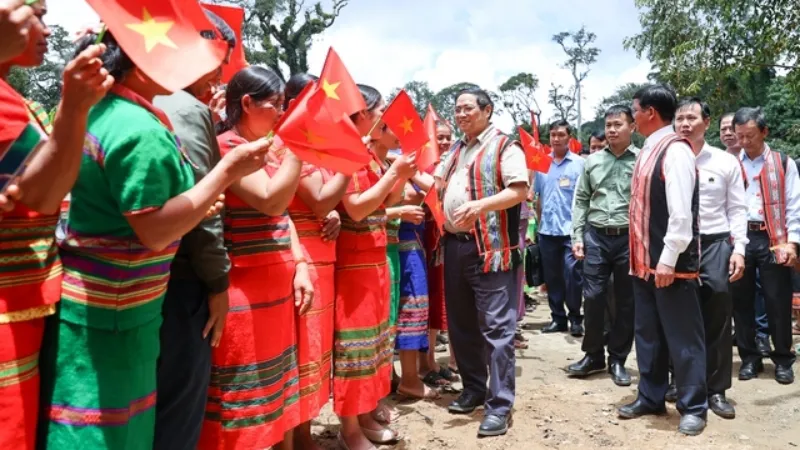 Thủ tướng: Đẩy mạnh liên kết trong sản xuất, chế biến sâm Ngọc Linh