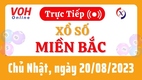 Xổ số miền Bắc hôm nay, XSMB 20/8, SXMB 20/8/2023 - Kết quả xổ số ngày 20 tháng 8