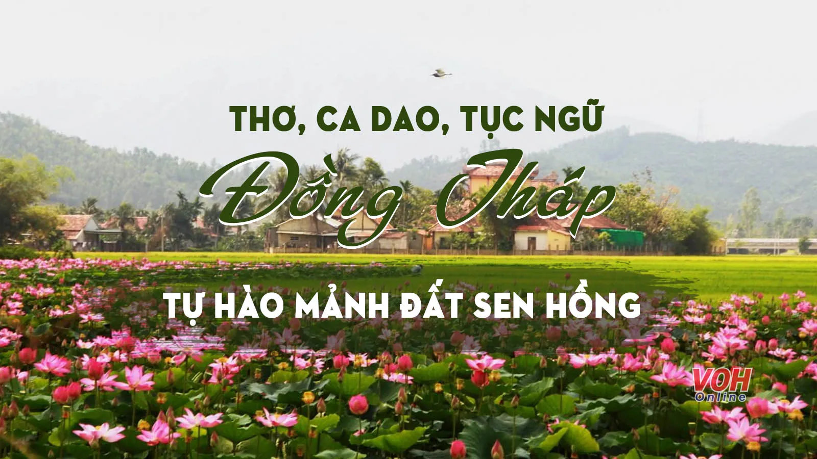 Top những bài thơ, ca dao, tục ngữ về Đồng Tháp