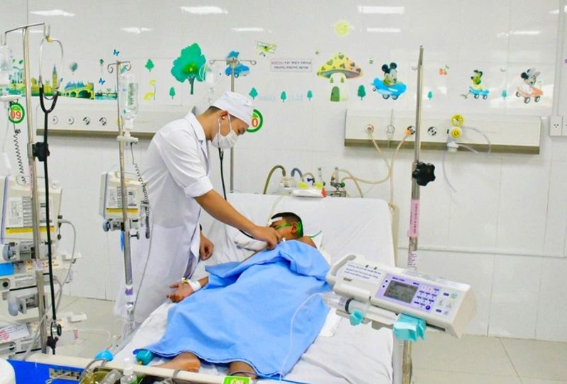 Bé trai 8 tuổi bị ong vò vẽ đốt hơn 60 mũi