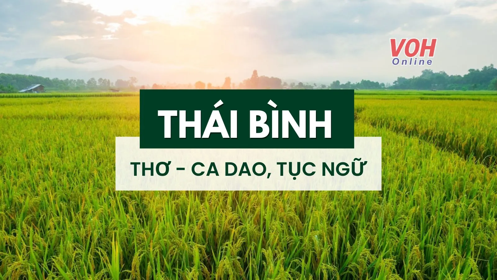 Thơ về Thái Bình, ca dao, tục ngữ về Thái Bình