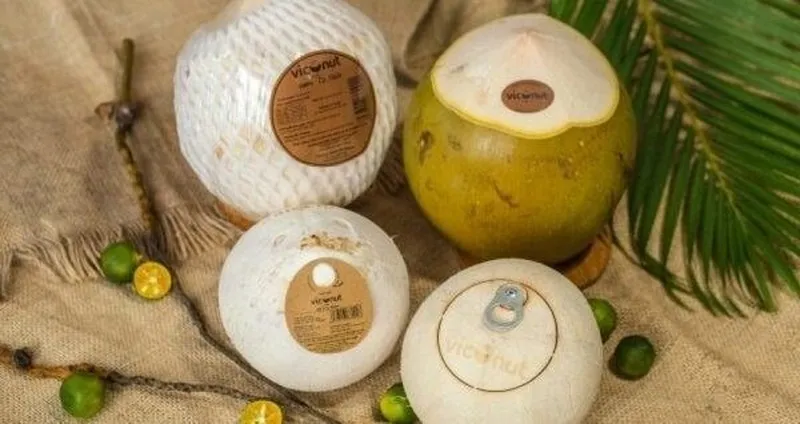 Chủ tịch Hiệp hội dừa VN: Xuất khẩu dừa có thể đạt 1 tỷ USD