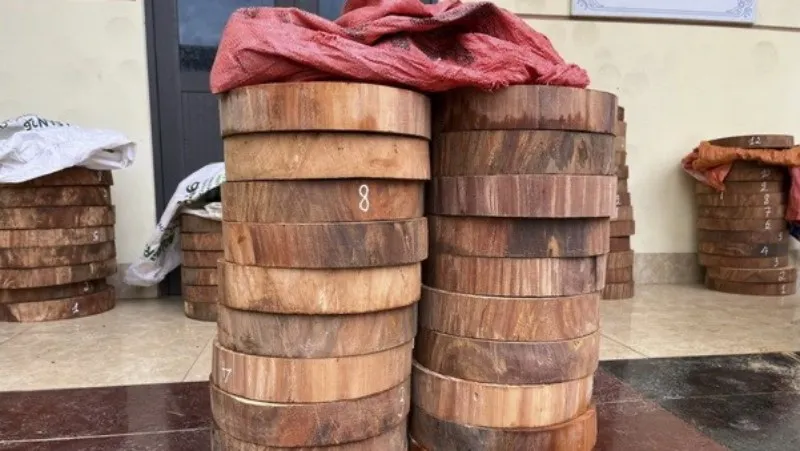 Bắt nhóm đối tượng vận chuyển hơn 100 thớt gỗ nghiến