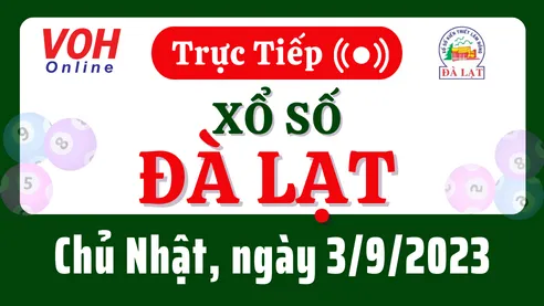 XSDL 3/9 - Kết quả xổ số Đà Lạt hôm nay chủ nhật ngày 3/9/2023