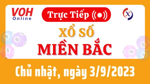 Xổ số miền Bắc hôm nay, XSMB 3/9, SXMB 3/9/2023 - Kết quả xổ số ngày 3 tháng 9