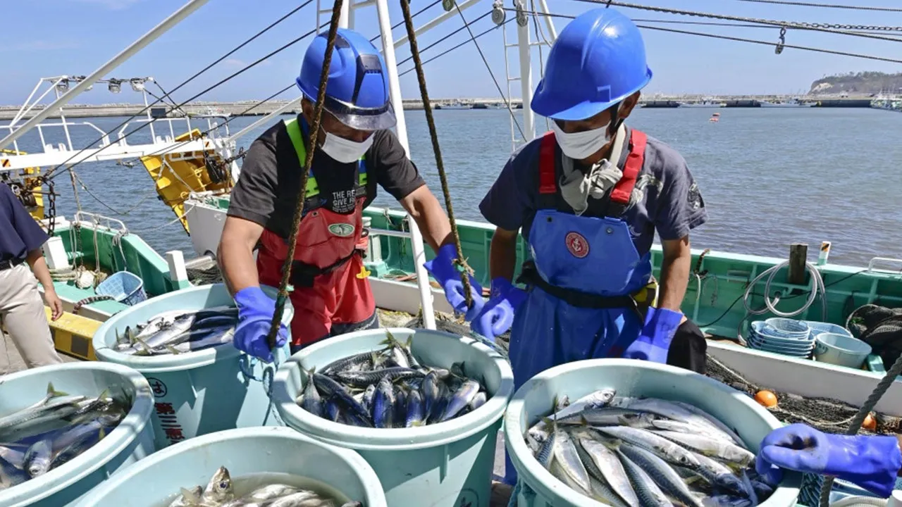 Nhật Bản chi 20,7 tỷ yên để “cứu” ngành thủy sản