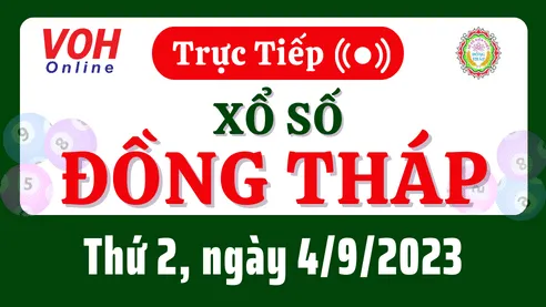 XSDT 4/9 - Kết quả xổ số Đồng Tháp hôm nay thứ 2 ngày 4/9/2023