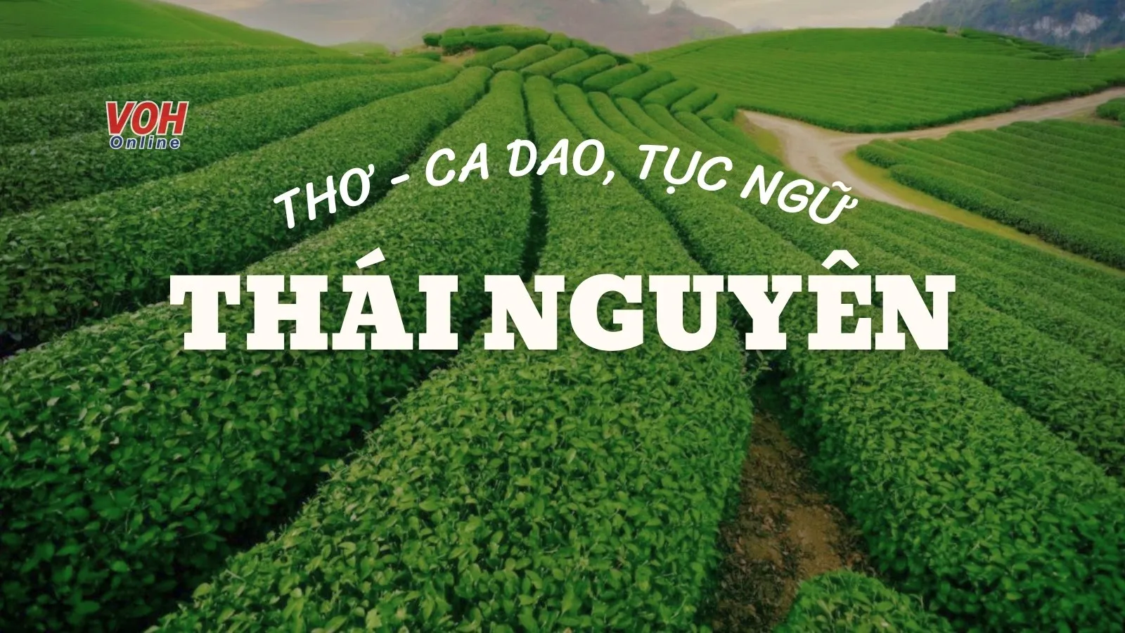 Tuyển tập thơ, ca dao, tục ngữ hay về Thái Nguyên