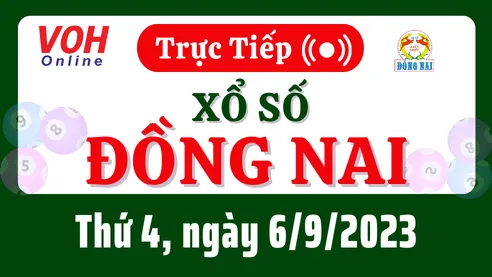XSDN 6/9 - Kết quả xổ số Đồng Nai hôm nay thứ 4 ngày 6/9/2023