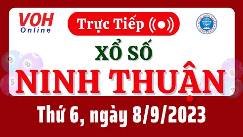 XSNT 8/9 - Kết quả xổ số Ninh Thuận hôm nay thứ 6 ngày 8/9/2023