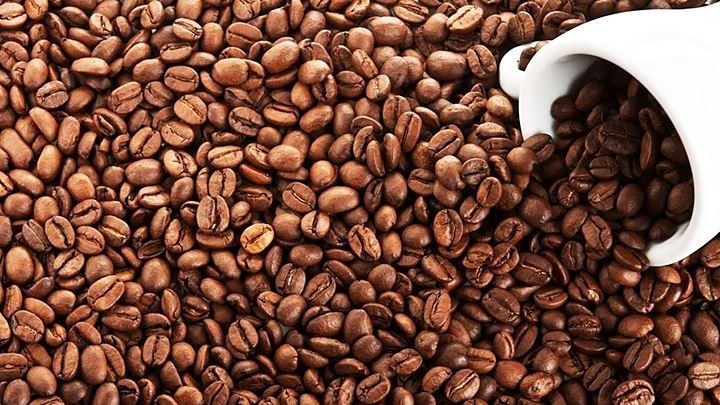 Giá cà phê hôm nay 9/9/2023: Rơi vào thế bất lợi kép