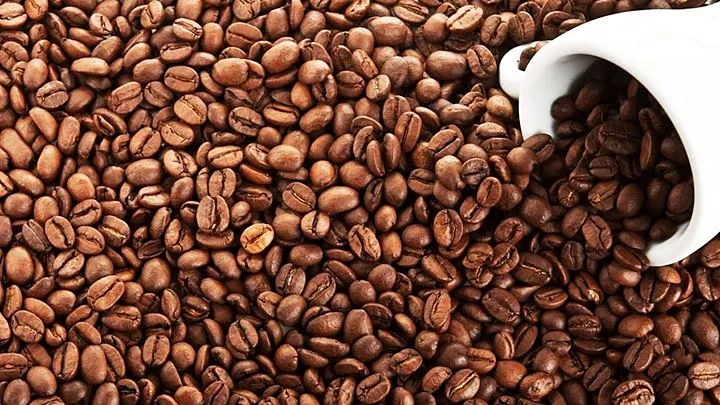 Giá cà phê hôm nay 9/9/2023: Rơi vào thế bất lợi kép
