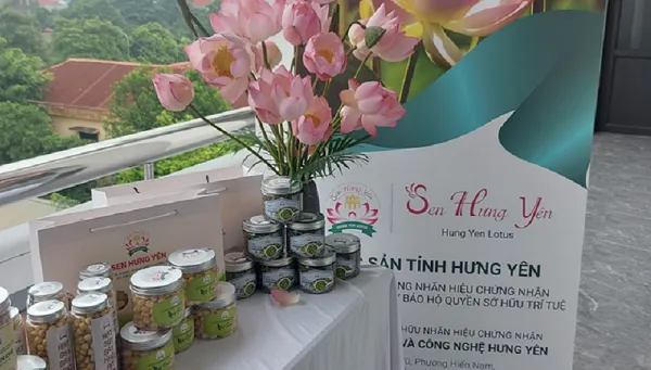 Cấp chứng nhận đăng ký nhãn hiệu cho Sen Hưng Yên”