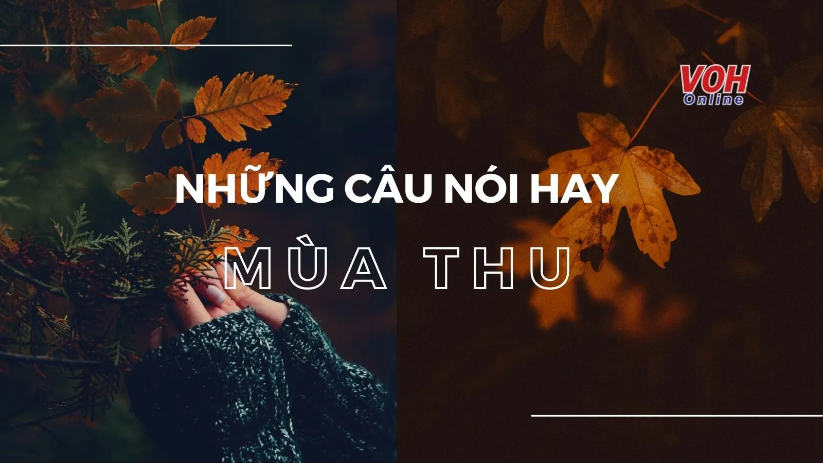 Những câu nói hay về mùa thu - mùa của hoài niệm
