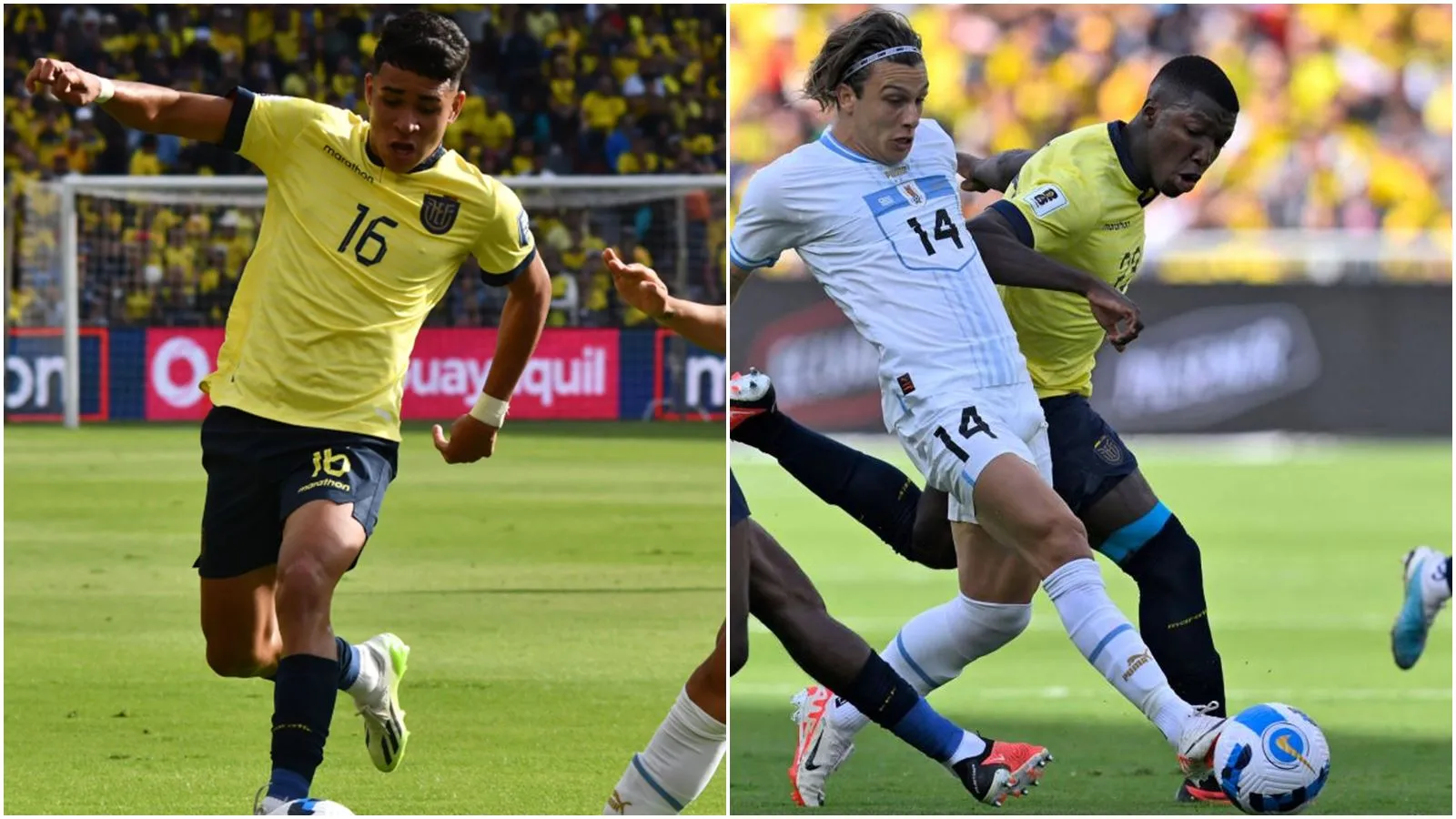 Moises Caicedo và Kendry Paez cùng kiến tạo mang về chiến thắng cho Ecuador