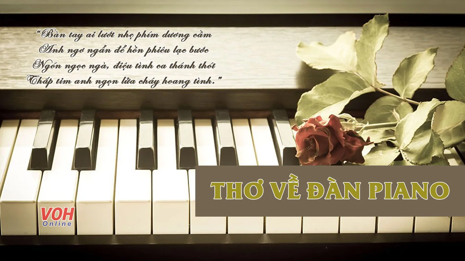 Những bài thơ về đàn Piano, stt về Piano mang nhiều cảm xúc
