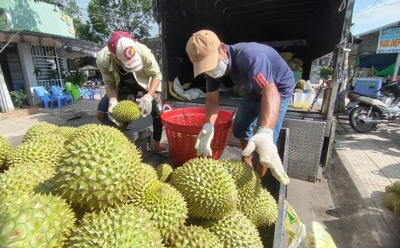 Trung Quốc chi tiền khủng nhập rau quả Việt Nam