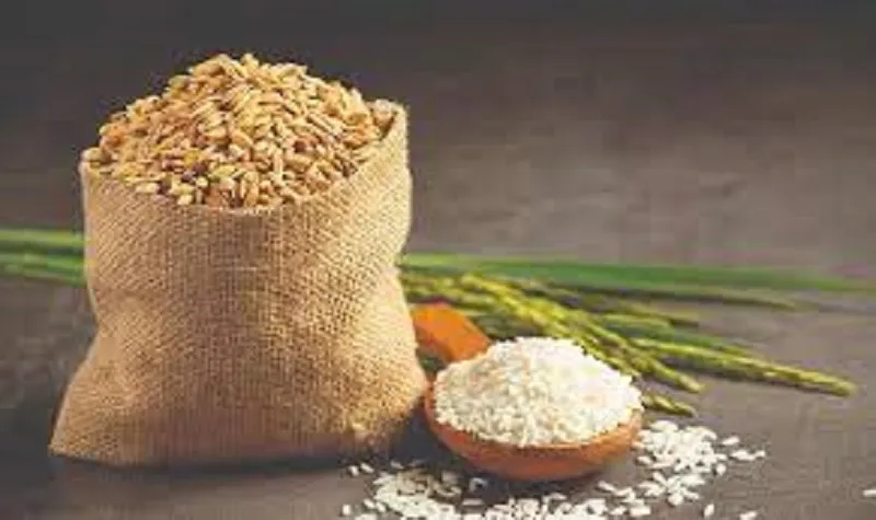 Giá lúa gạo hôm nay 20/9/2023:Giá gạo giảm 100 - 250 đồng/kg