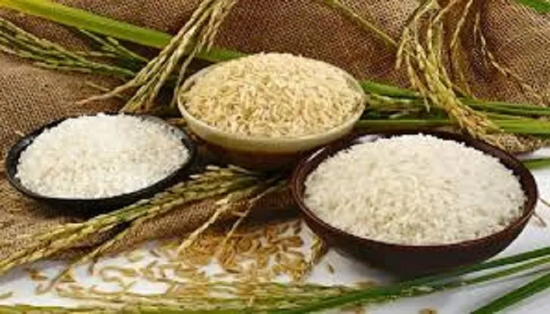 Giá lúa gạo hôm nay 21/9/2023: Giá gạo xuất khẩu đang ở mức cao