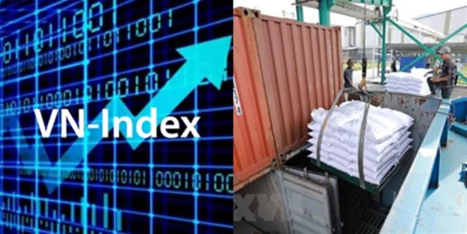 Điểm tin chiều 22/9: VN-Index lao dốc | Xu hướng giá gạo và khuyến cáo cho doanh nghiệp