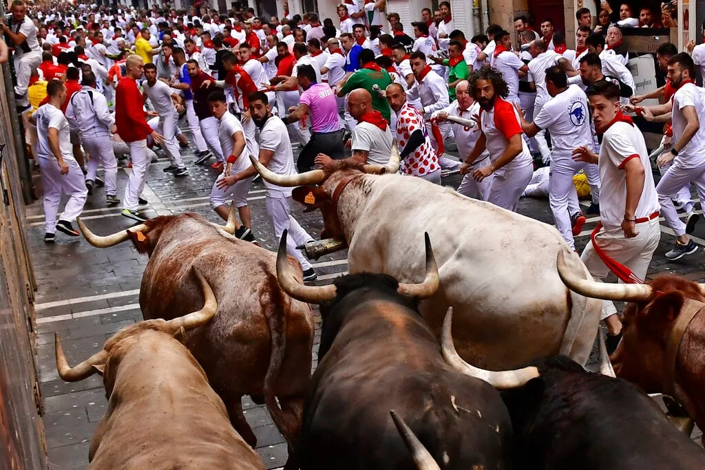 Bò tót húc chết người trong lễ hội ở Tây Ban Nha