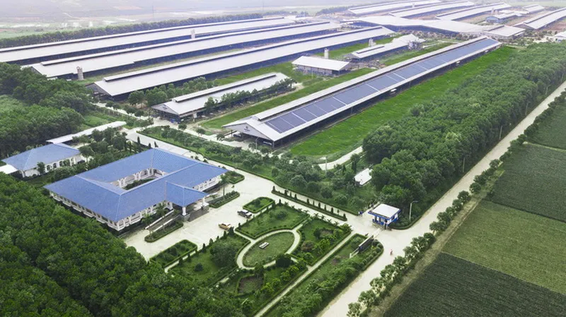 VN mới có hơn 230 dự án được cấp “chứng nhận xanh”
