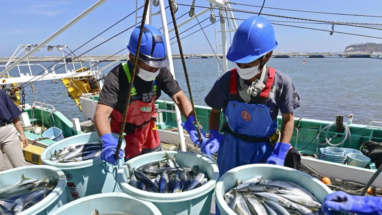 Không tìm thấy tritium trong cá sau 1 tháng xả nước thải nhà máy điện hạt nhân Fukushima
