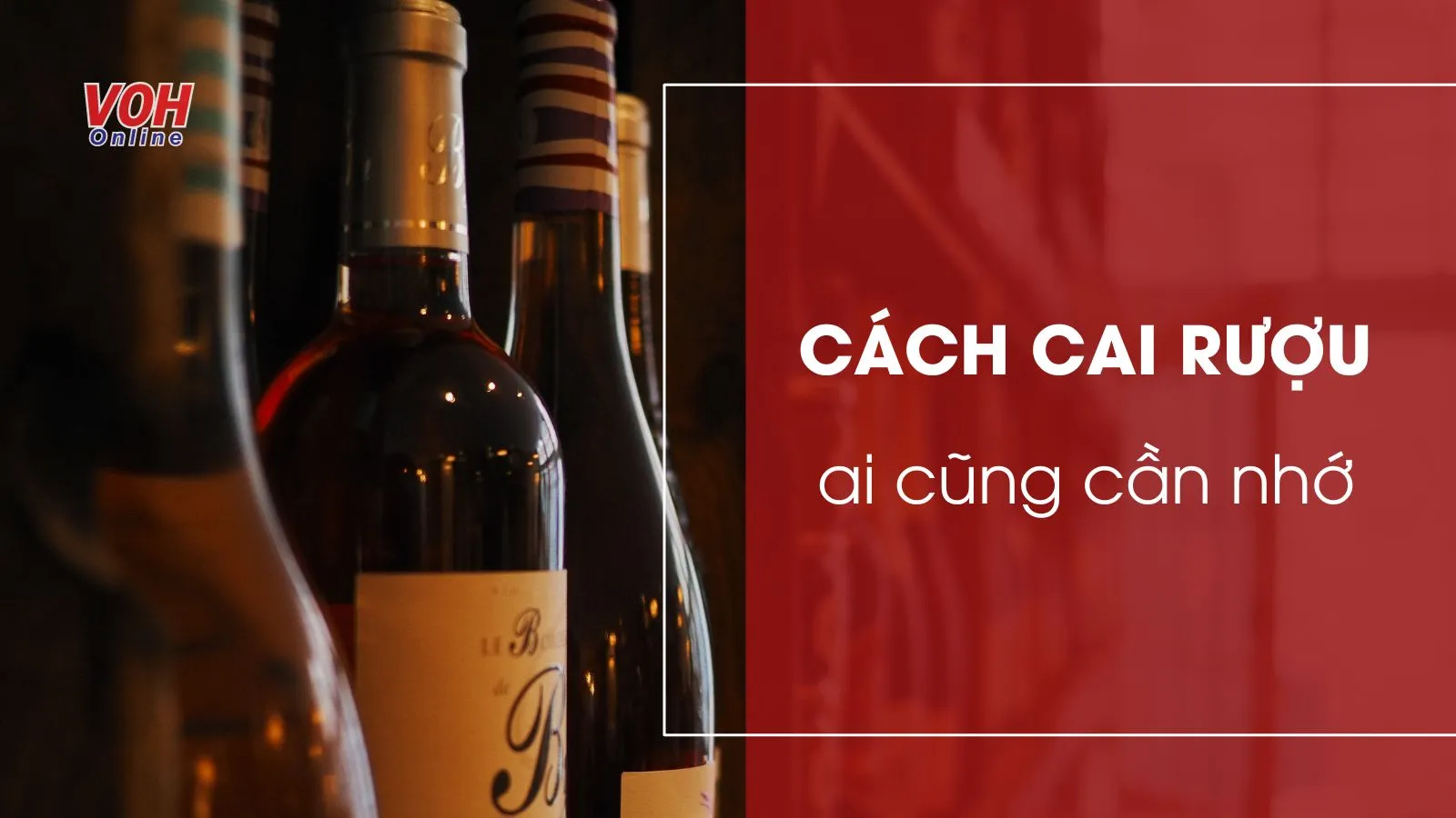 Cách cai rượu, bia nhanh nhất bạn không nên bỏ qua