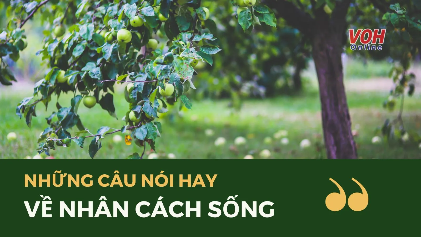 Những câu nói hay về nhân cách sống đáng suy ngẫm, đọc là “thấm”