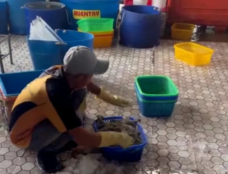 Bắt quả tang một cơ sở bơm tạp chất vào tôm