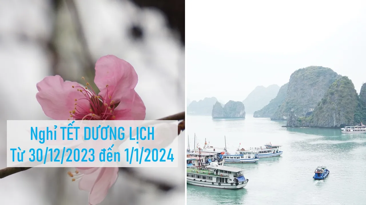 Điểm tin sáng 4/10: Nghỉ Tết Dương lịch 3 ngày | Vịnh Hạ Long là điểm du lịch đáng đến năm 2024
