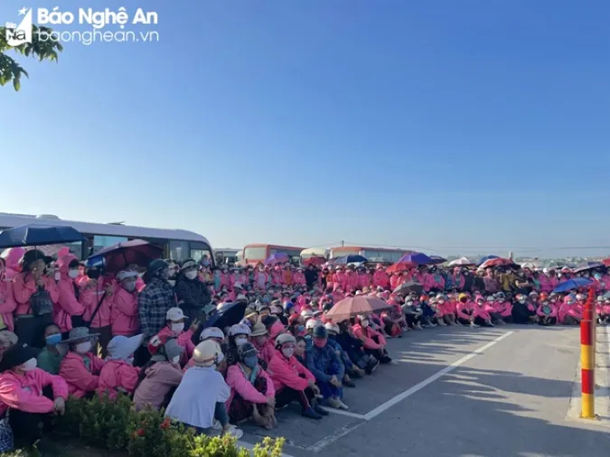 Khoảng 1.000 công nhân trong vụ ngừng việc tập thể ở Nghệ An đã quay lại làm việc