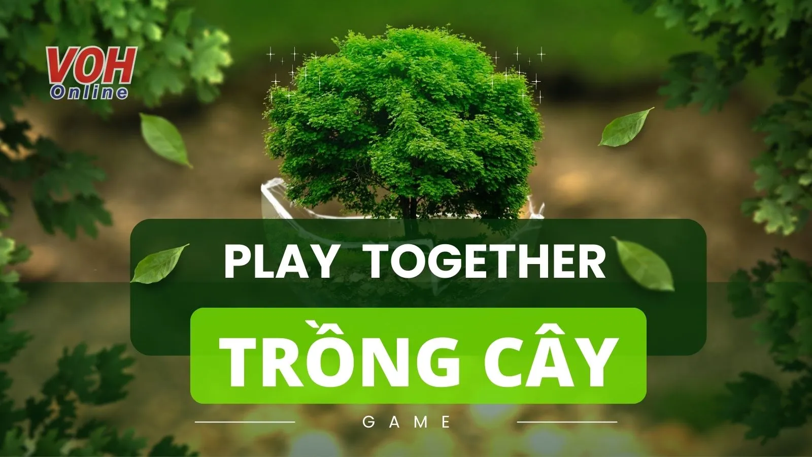 Cách trồng cây trong Play Together phát triển mạnh, tươi tốt