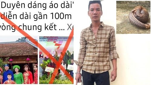 Điểm tin sáng 10/10: Cảnh báo lừa đảo thi áo dài, ảnh đẹp | Bắt kẻ vận chuyển tê tê sắp tuyệt chủng