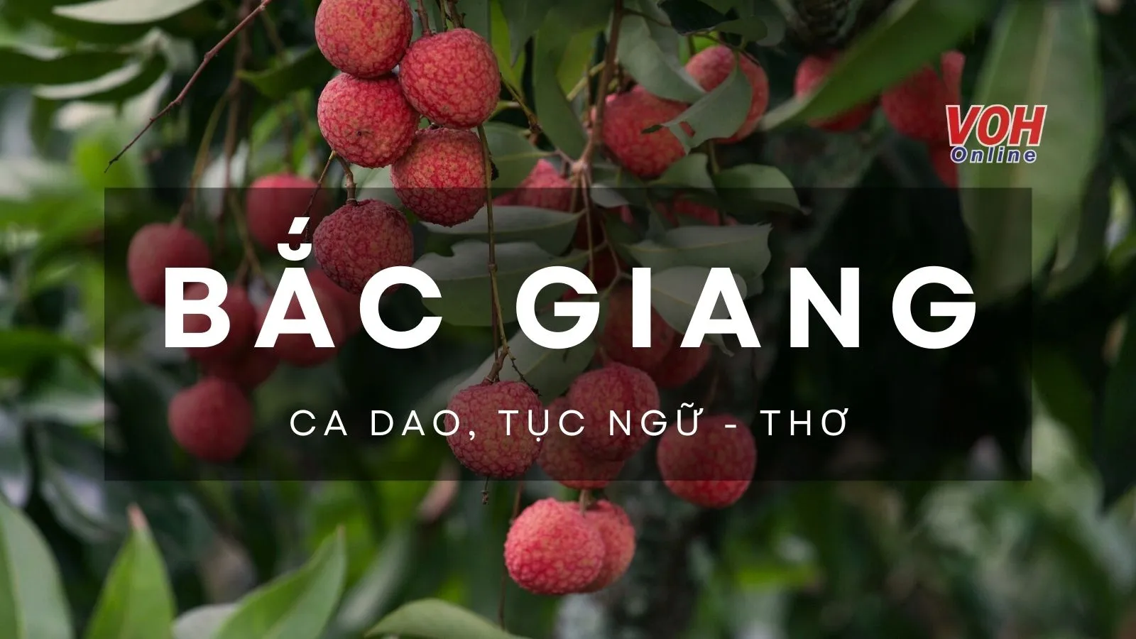 Ca dao, tục ngữ Bắc Giang, thơ về Bắc Giang đất và người
