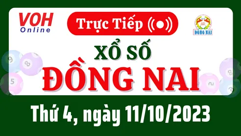 XSDN 11/10 - Kết quả xổ số Đồng Nai hôm nay thứ 4 ngày 11/10/2023