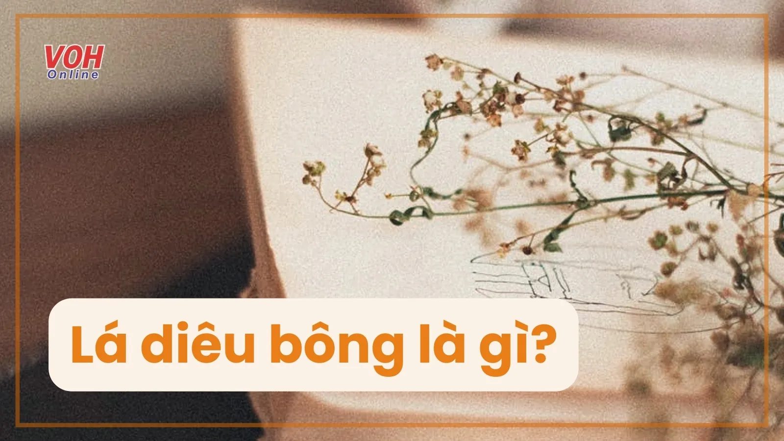 Lá diêu bông là gì? Nguồn gốc và ý nghĩa của lá diêu bông