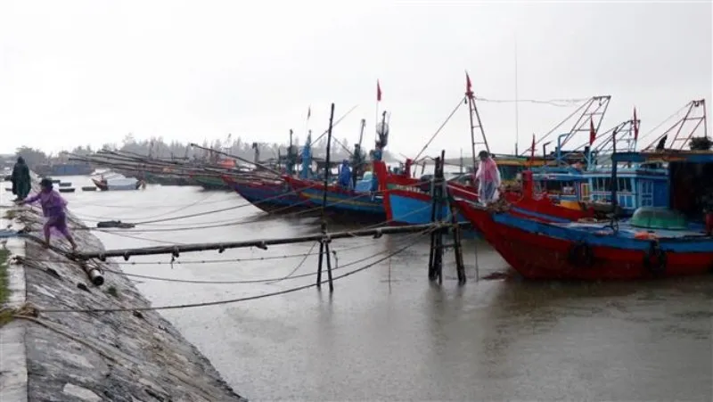 Quảng Nam cấm biển từ 16 giờ ngày 17/10