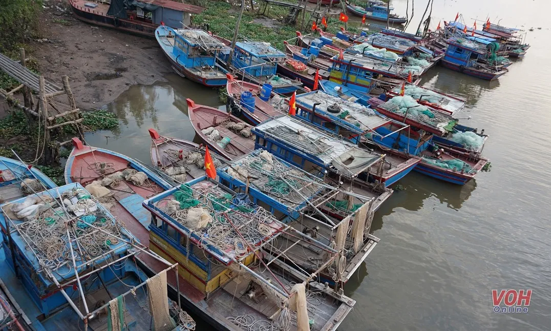 Ứng phó bão số 5: Thái Bình, Quảng Ninh cấm biển