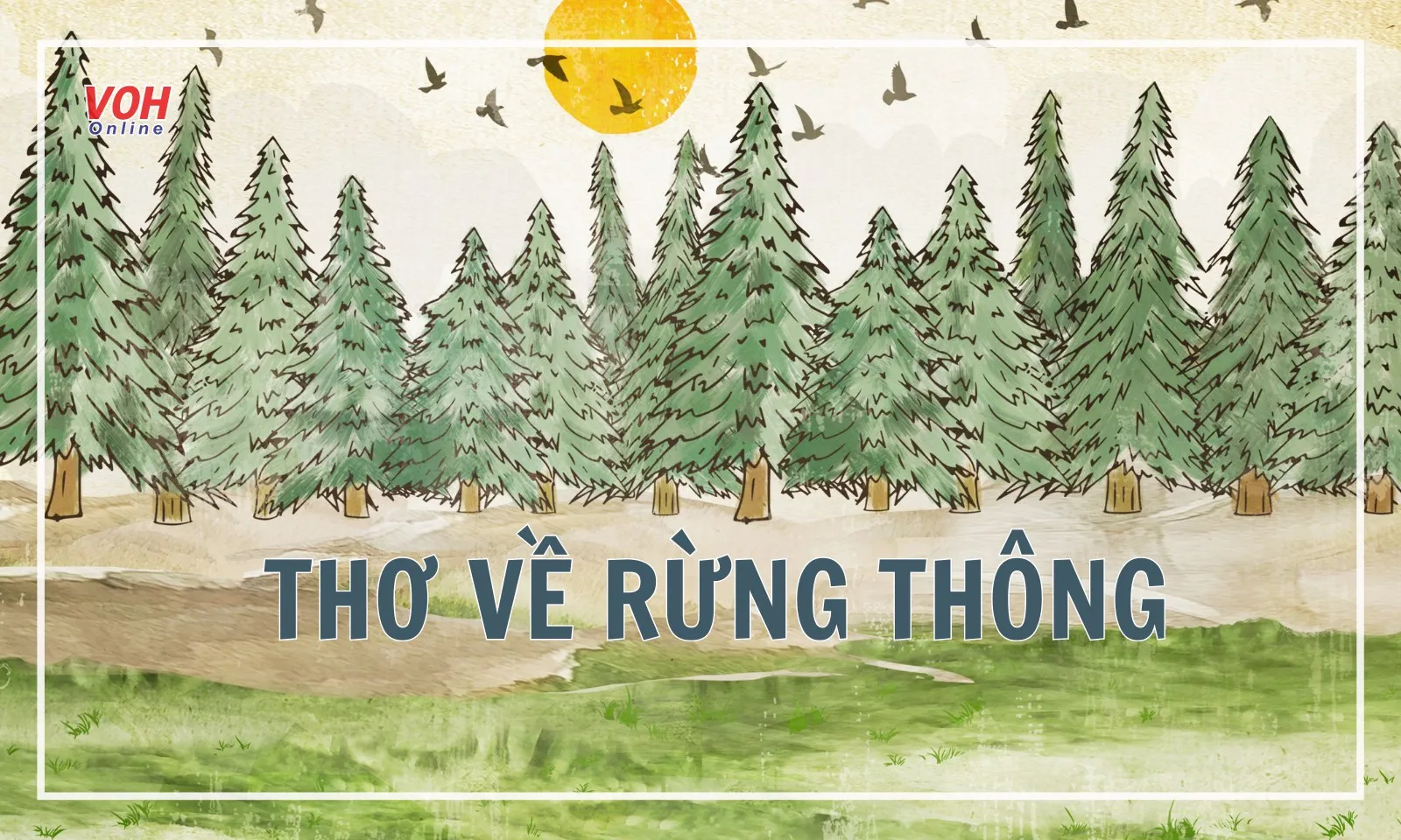 26 bài thơ về rừng thông hùng vĩ, trữ tình